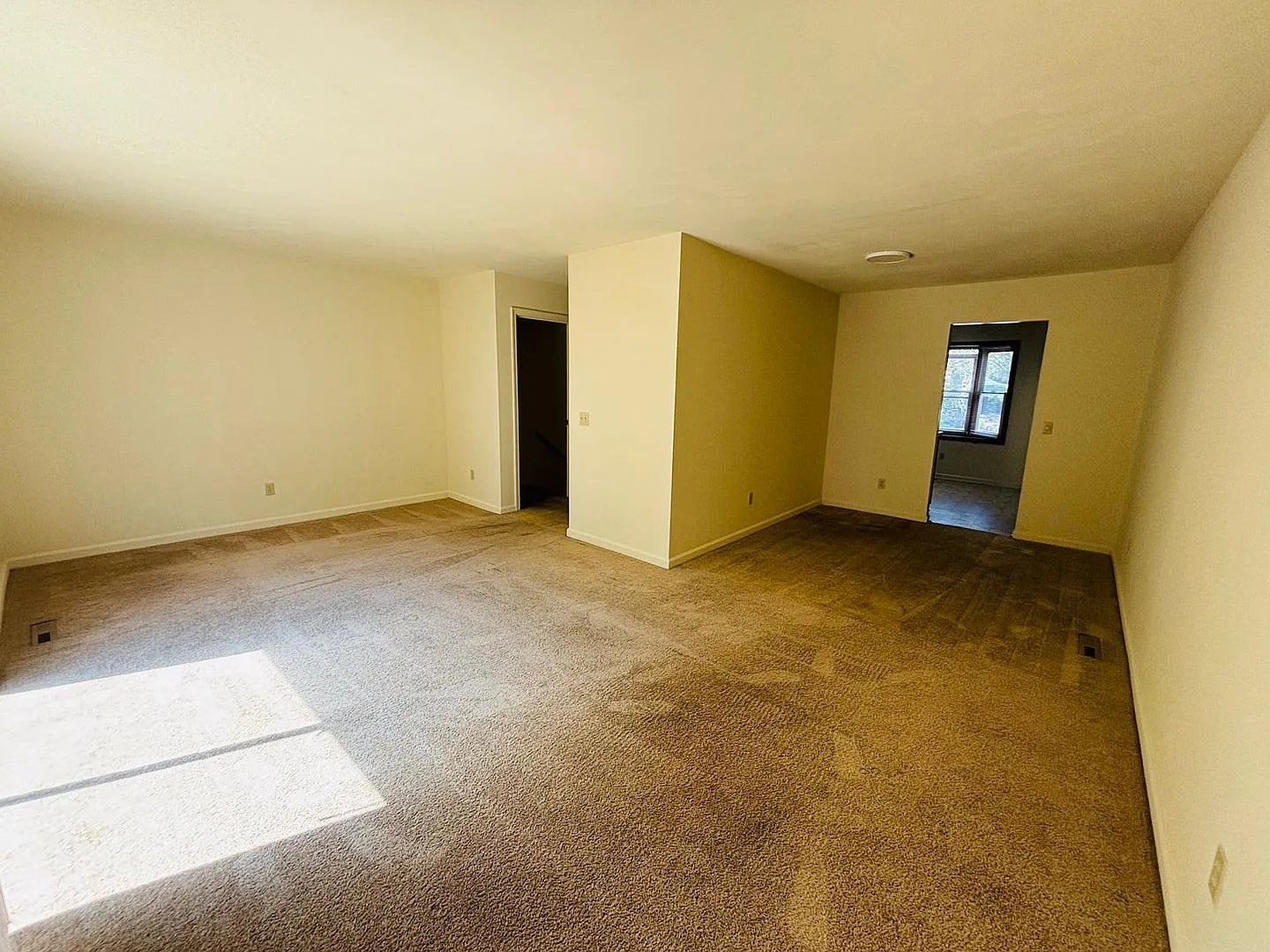 4 Bedroom 3.5 Bath Townhouse — Photo 4