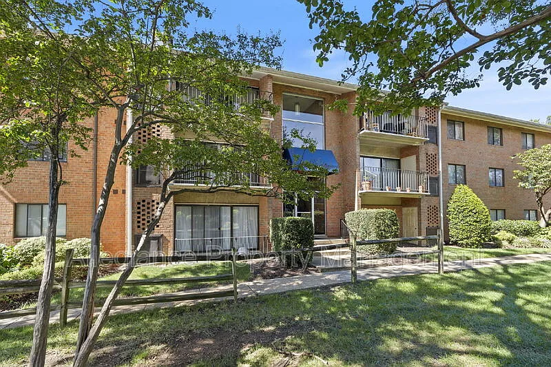 2 bed, 1.0 bath, 806 sqft, $2,000 — Photo 4