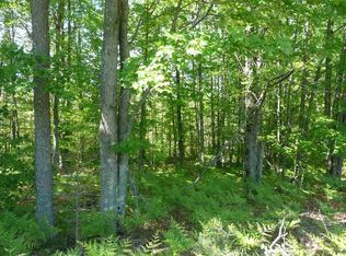 Nessen City Rd, Copemish, MI 49625