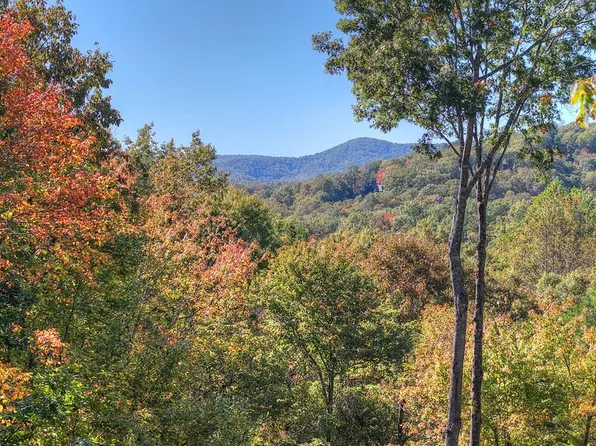 240 Lower Prince Mountain Rd, Cherry Log, GA 30522