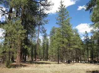 1063 Reata Pass, Happy Jack, AZ 86024