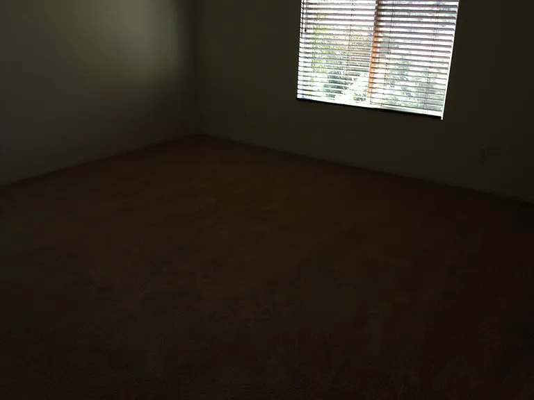 794 Avenida Abeja — Photo 13