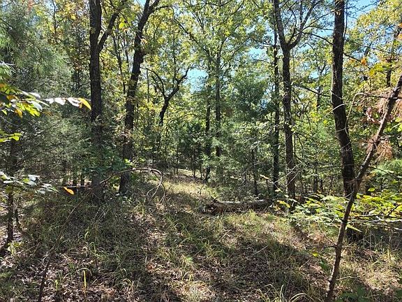 5th image of 100 Bear Creek Rd