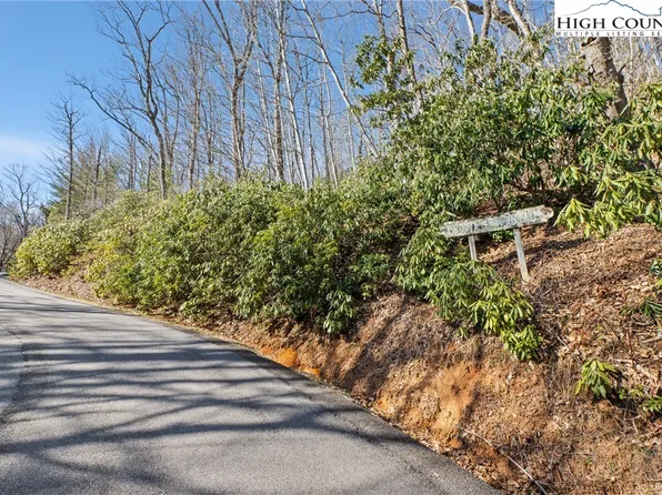 TBD Brown Mountain Ridge Road, Blowing Rock, NC 28605