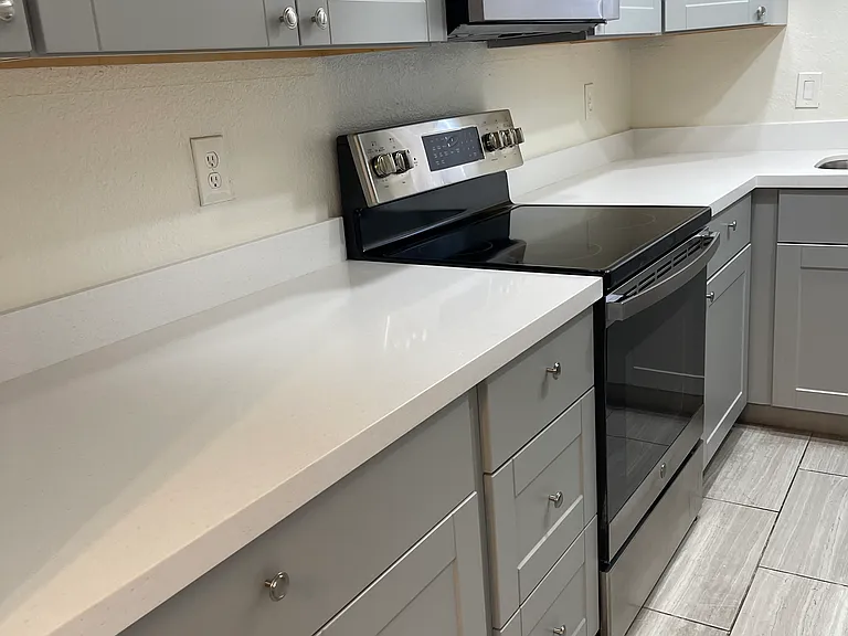 1215 E Lemon St #217 — Photo 6