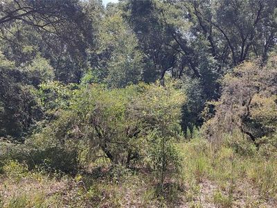 0 SE 131st Ln #10, Belleview, FL, 34420