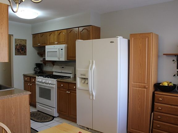 5th image of 8617 W Foster Ave Unit 1C