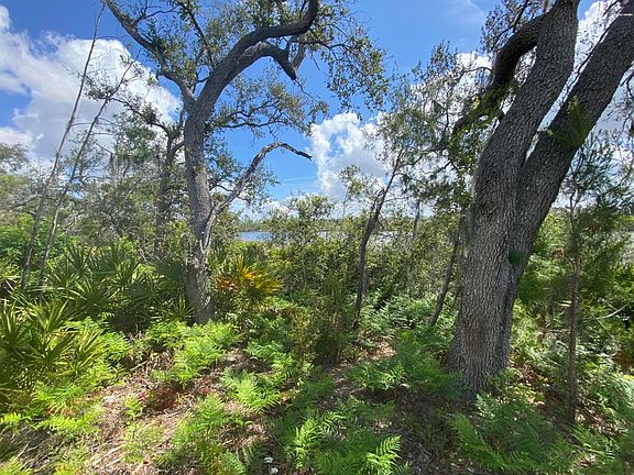 5th image of 407 Meadowview Ter