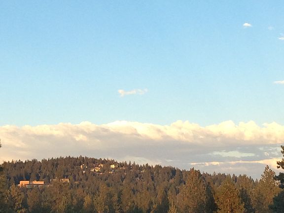 View from Dinning Room