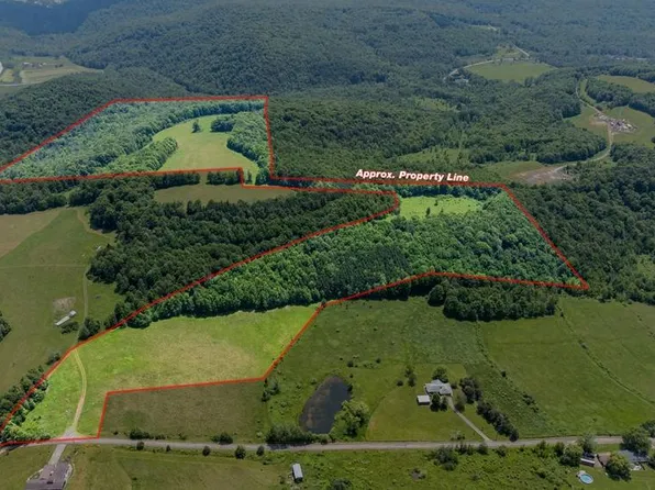 362 S Greenbush Rd, Erin, NY 14838