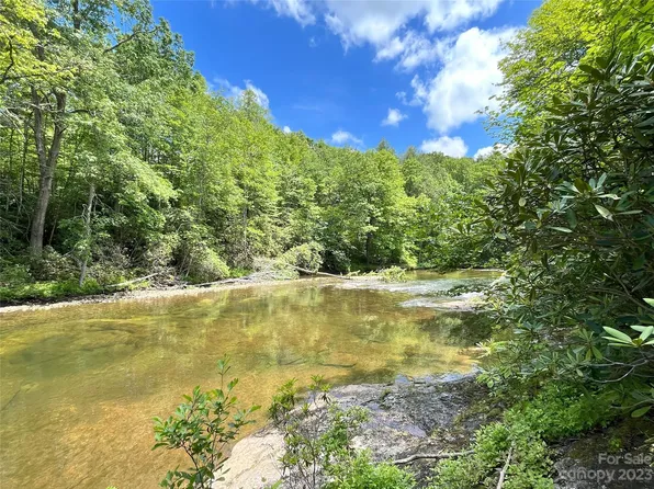 Copperhead Bnd, Burnsville, NC 28714