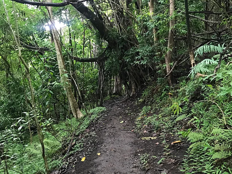 Nearby Hiking