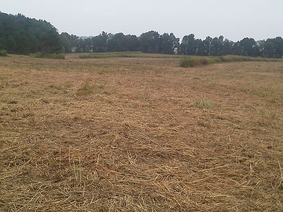 5th image of 45 Acre Farm