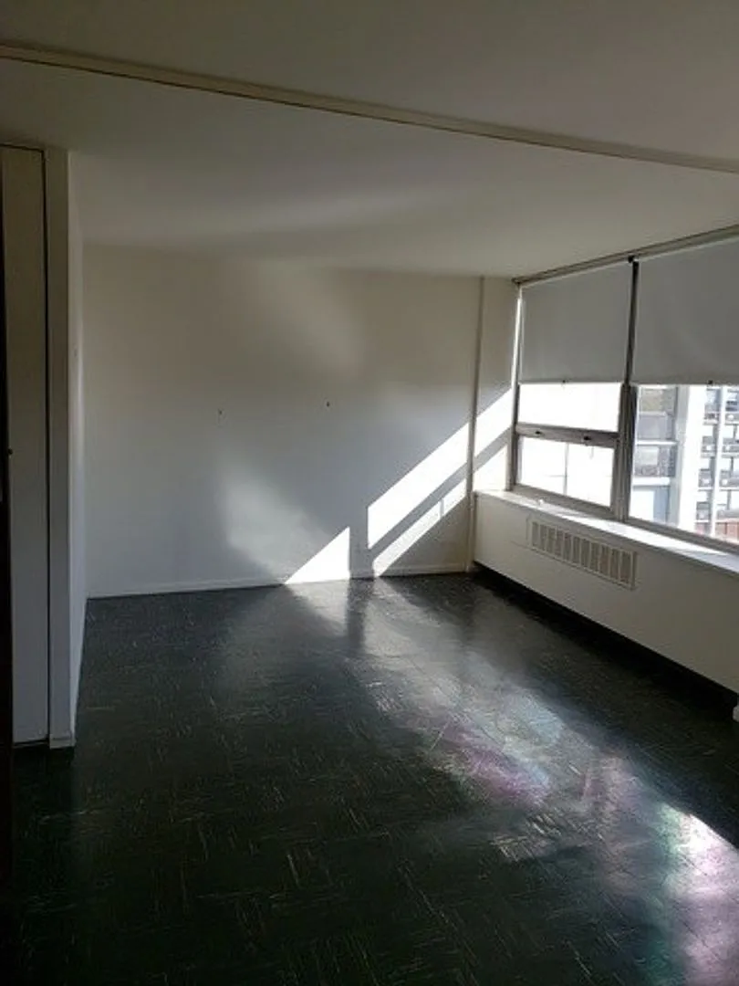 Building Photo - 1460 N Sandburg Ter #1409A