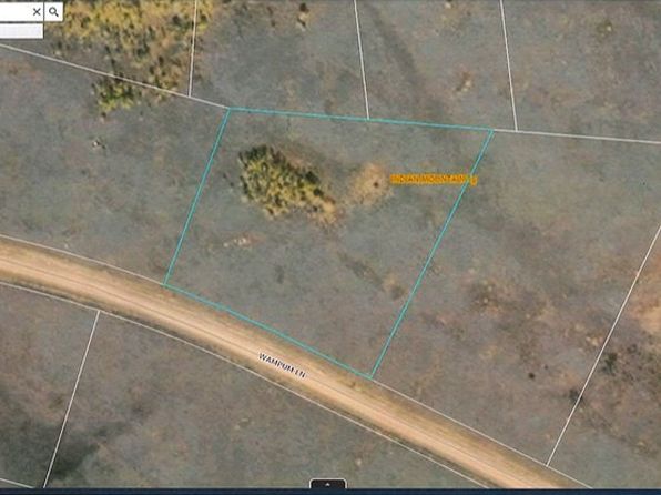 1836 Wampum Ln, Como, CO 80456