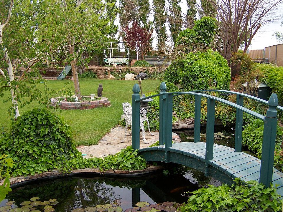 Pond ~ west side of yard