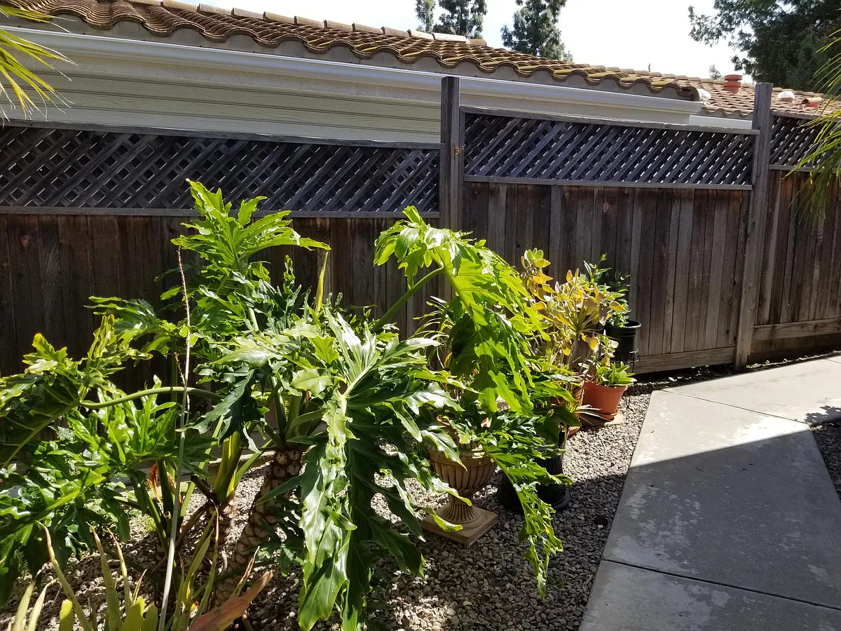 Building Photo - 14955 Avenida Venusto #42