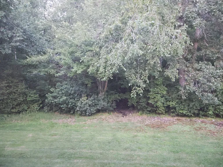 View of the Backyard from the Private Balcony.