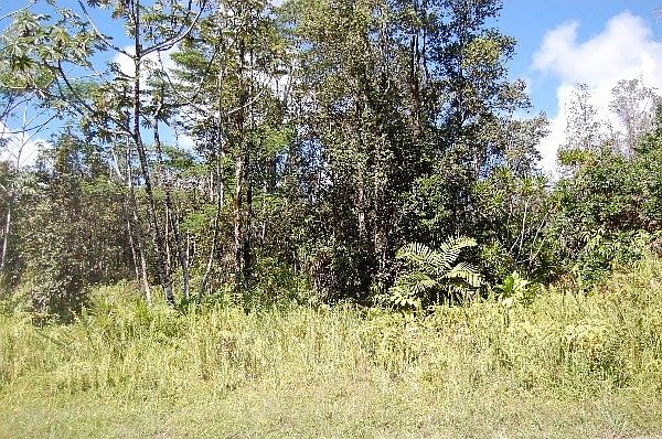 1st image of 15-1676 18th Ave Lot 366