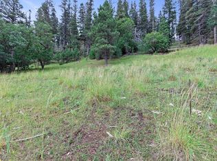 LOT 19 Trading Post Rd, Cloudcroft, NM 88317