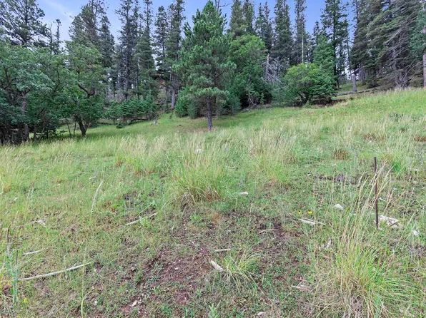 LOT 19 Trading Post Rd, Cloudcroft, NM 88317