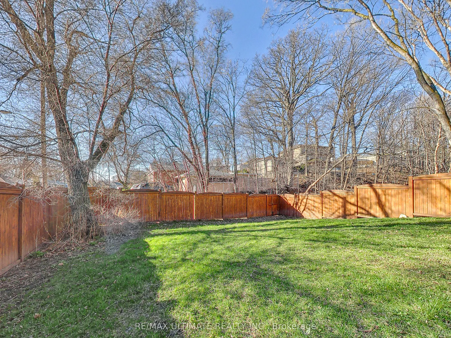 1 bed, $950 — Photo 4