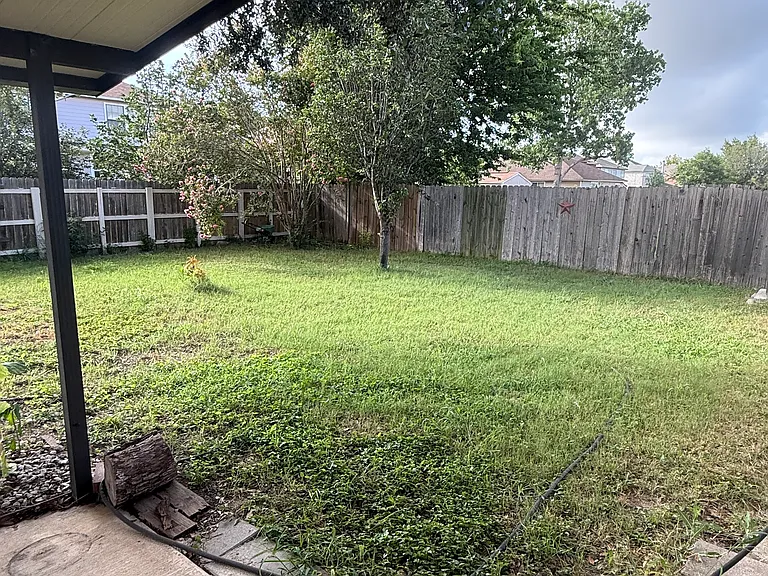 7254 Dwarf Palm — Photo 13