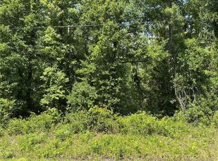 10135 McMahon Ave, Hastings, FL 32145