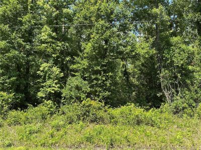10135 McMahon Ave, Hastings FL - Owner Finance Home