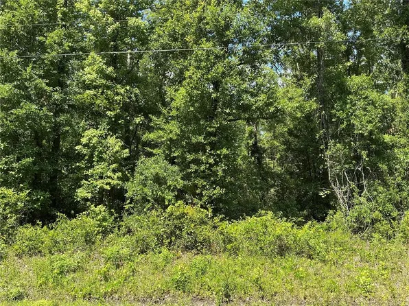 10135 McMahon Ave, Hastings, FL 32145