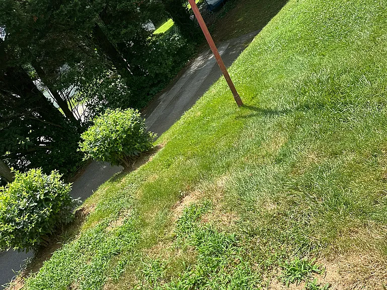 3712 S Mountain Rd — Photo 23
