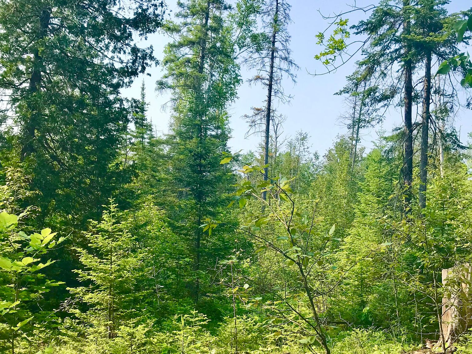 Tbd E Gogomain Rd, Pickford, MI 49774 MLS 23411 Zillow