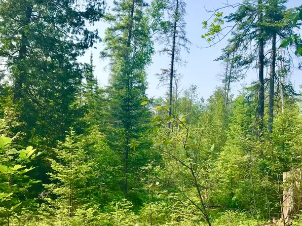Tbd E Gogomain Rd, Pickford, MI 49774