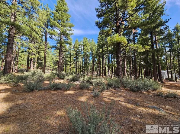 16380 Callahan Rd, Reno, NV 89511