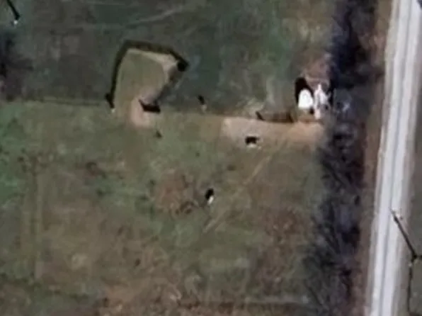 2880 Wilson Cemetery Rd, Springdale, AR 72764