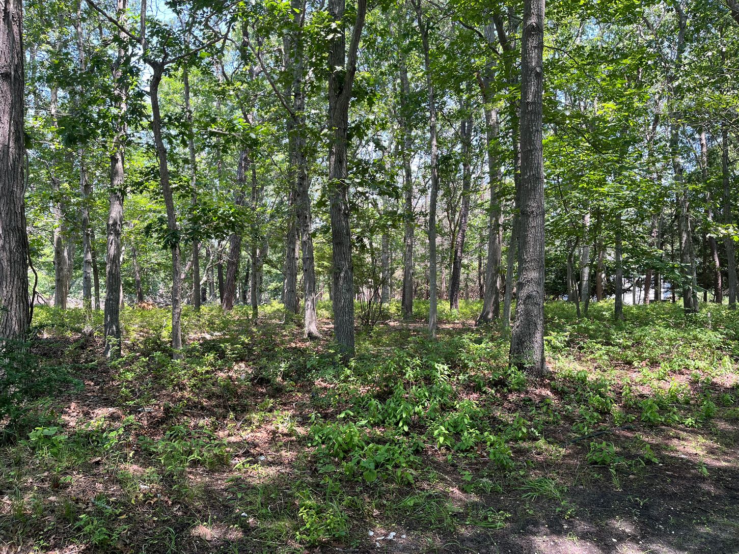  Property Borders 4-Acre Preserved Lane