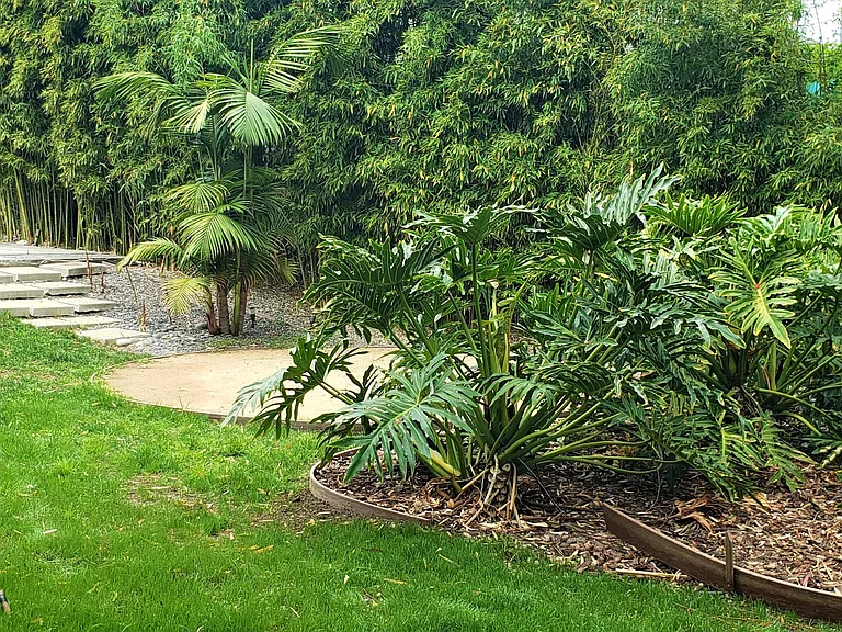 Landscaped Backyard