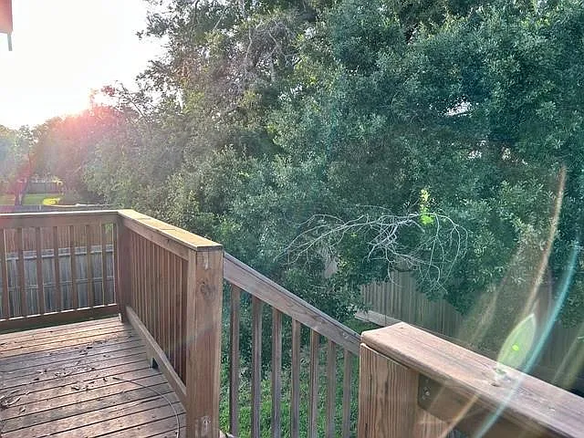 7341 Santiago St — Photo 31