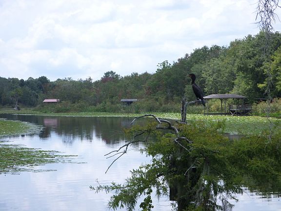 5th image of 104 S Lake Dr