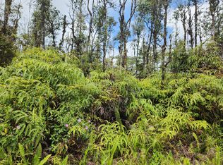 Molokai Rd LOT 321, Pahoa, HI 96778