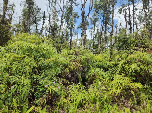 Molokai Rd Lot 321, Pahoa, HI 96778