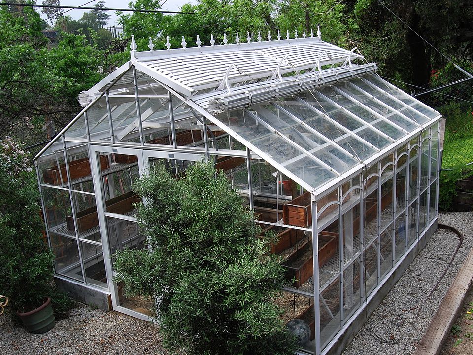 Beautiful Glass Greenhouse