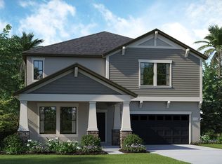 19438 Paddock View Dr, Tampa, FL 33647