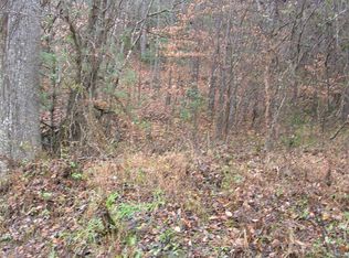 Briar Cove Rd, Morganton, GA 30560