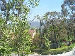 View from Master Bedroom