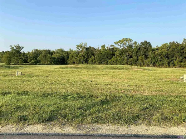 LOT 29 Buddy Gore Rd Lot 29, Gonzales, LA 70737
