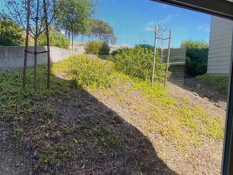 2764 Franz Kafka Ave — Photo 13