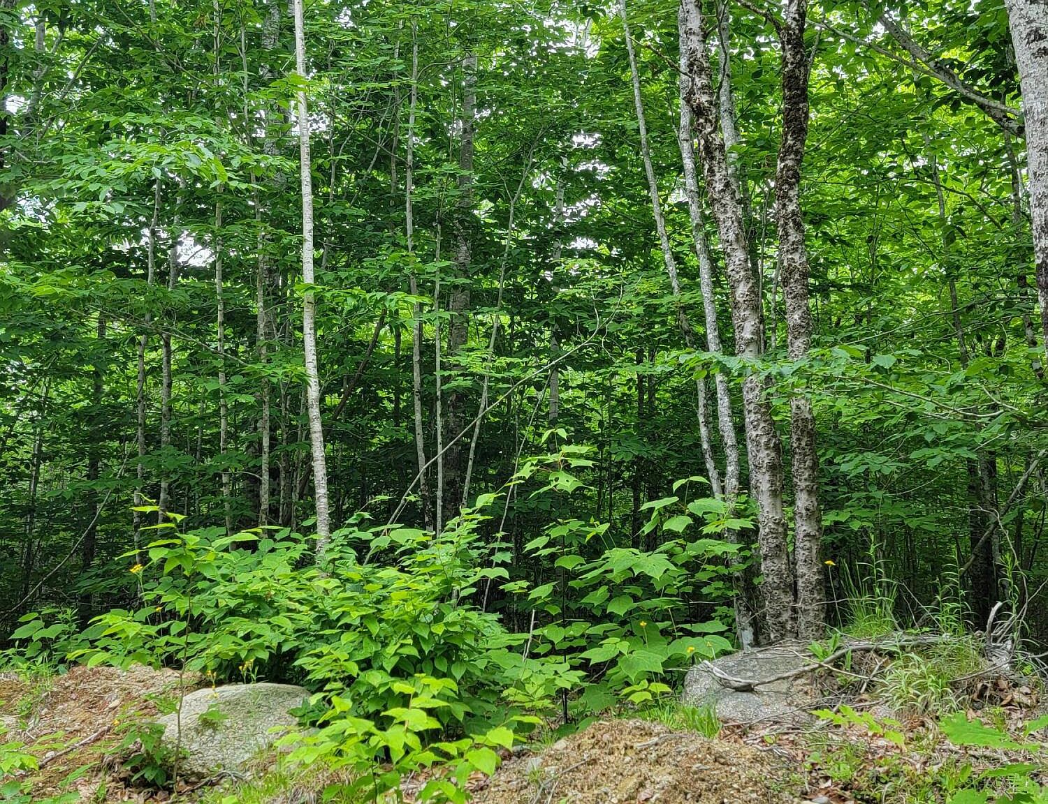 127 Hardwood Ridge Road, Cherryfield, ME 04622 MLS 1592769 Zillow