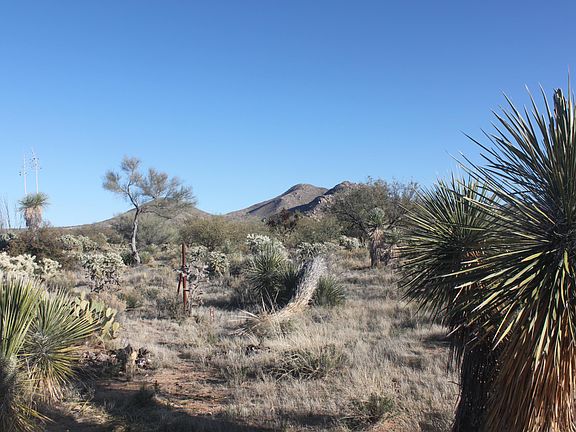 3rd image of 14294 W Moxie Pl