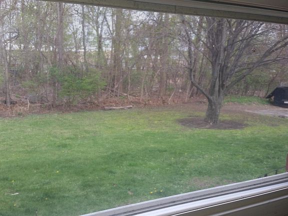 VIEW FROM KITCHEN WINDOW